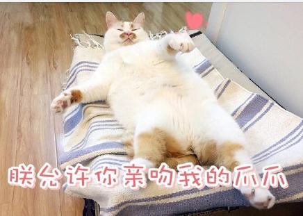 ¥¥ʲôƷֵè ¥¥è̬ͼȫ