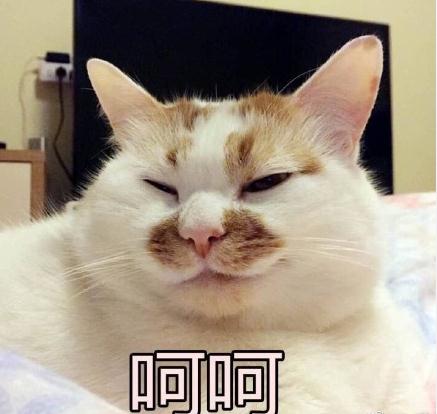 ¥¥ʲôƷֵè ¥¥è̬ͼȫ