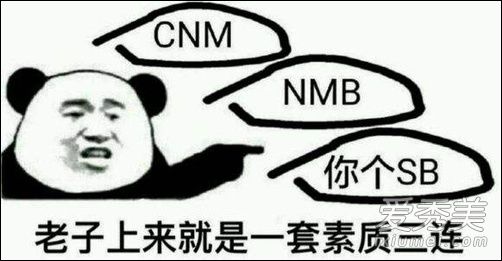 ����������ʲô��˼ �������������ԭͼ