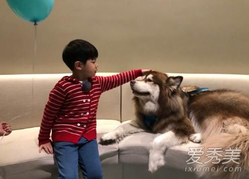 �������ɿ����ܻ�����Ƭ ��˼�ϵĹ����ɿ��Ǹ��̳�ʲô��˼ʲôƷ�ֵĹ�