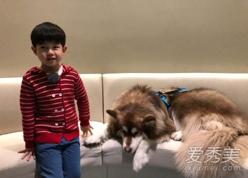 �������ɿ����ܻ�����Ƭ ��˼�ϵĹ����ɿ��Ǹ��̳�ʲô��˼ʲôƷ�ֵĹ�