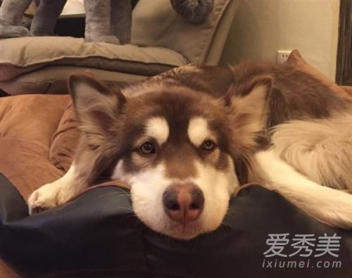 �������ɿ����ܻ�����Ƭ ��˼�ϵĹ����ɿ��Ǹ��̳�ʲô��˼ʲôƷ�ֵĹ�