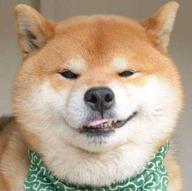 Ҷ����ʽ�谮��ʲô��˼ Ҷ����ʽ�谮���������