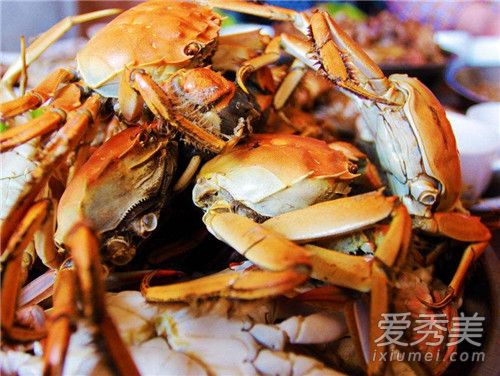 活螃蟹怎么保存过夜到第二天不会死 活螃蟹能放冰箱冷冻吗