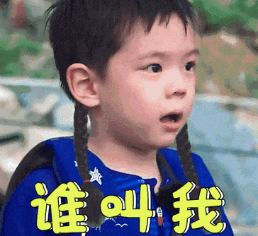嗯哼向记者问好是怎么回事 嗯哼真名叫什么