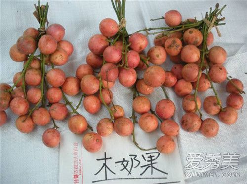 木奶果的功效与作用 木奶果多少钱一斤
