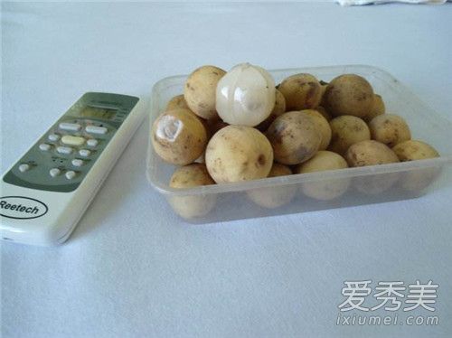 木奶果的功效与作用 木奶果多少钱一斤