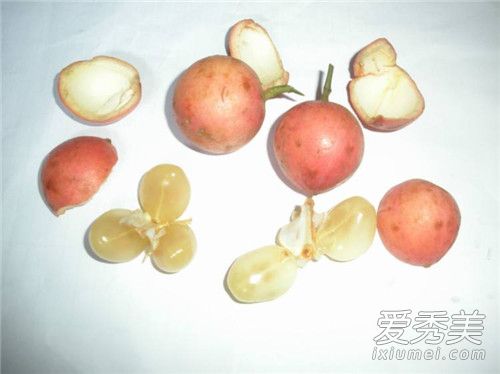 木奶果的功效与作用 木奶果多少钱一斤