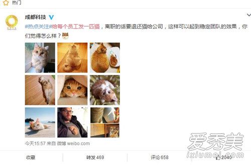 给每个员工发一匹猫是什么意思 给每个员工发一匹猫是什么梗