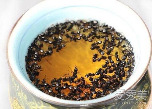 黑蚂蚁泡酒有什么功效 黑蚂蚁泡酒怎么泡