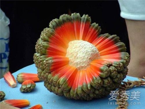 露兜果怎么吃 露兜果能直接吃吗