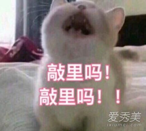 ����������ʲô��˼ ����������ʲô��