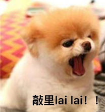 ����������ʲô��˼ ����������ʲô��