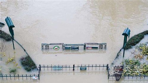 ������ˮ��ɫԤ����ô���� ��ɫԤ����ʲô��˼