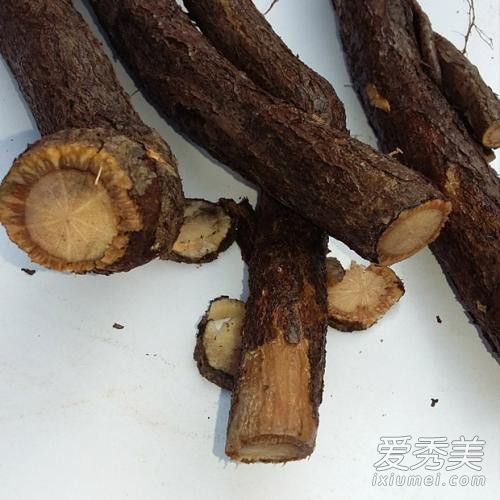 野葡萄根泡酒的功效 野葡萄根能治什么病