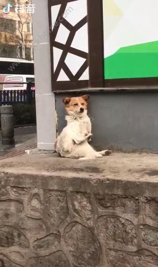 ɱҰǹʲô ɱ