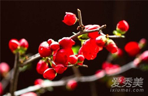 正月初五有什么讲究 正月初五的禁忌