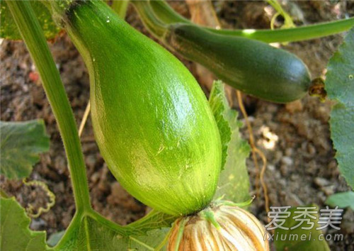 ���Ϻ��Ϲϵ����� ���ϲ��ܺ�ʲôһ���