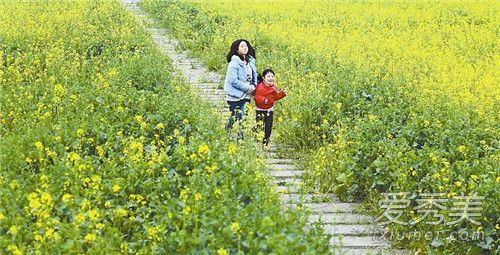 踏春是什么意思 什么时候踏春