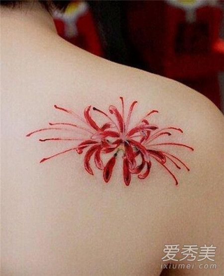 �˰���������ʲô��˼ Ů���Ʊ˰�����������