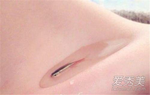 锁骨能养鱼是什么意思 锁骨能养鱼是什么梗