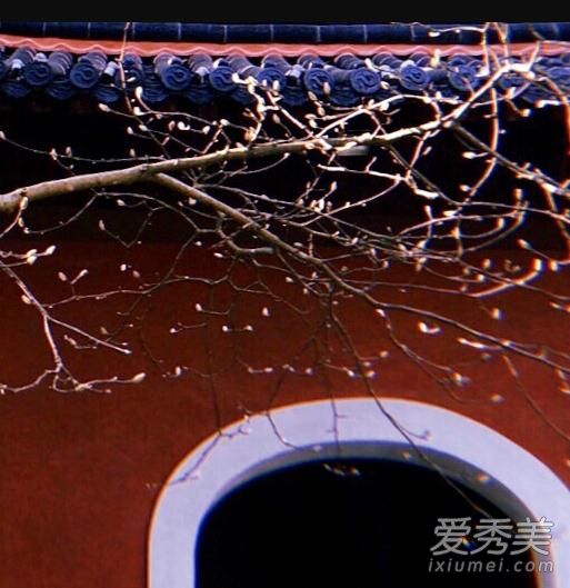 �����������������ǰ��ʲô�� ����˸�����������