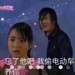 偷电瓶车的周某说的话 偷电瓶车的周某表情包
