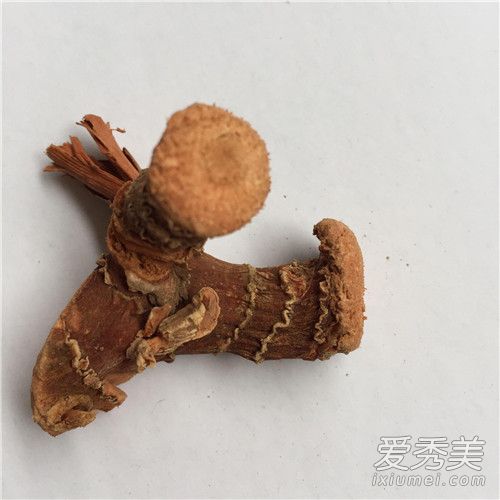 良姜是什么姜 良姜和生姜的区别