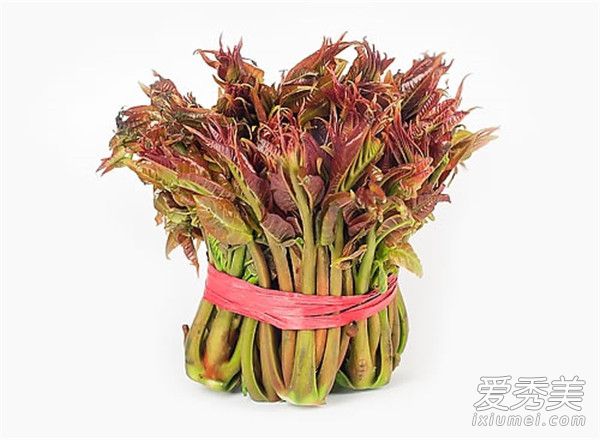 香椿是什么树 香椿是什么样子图片
