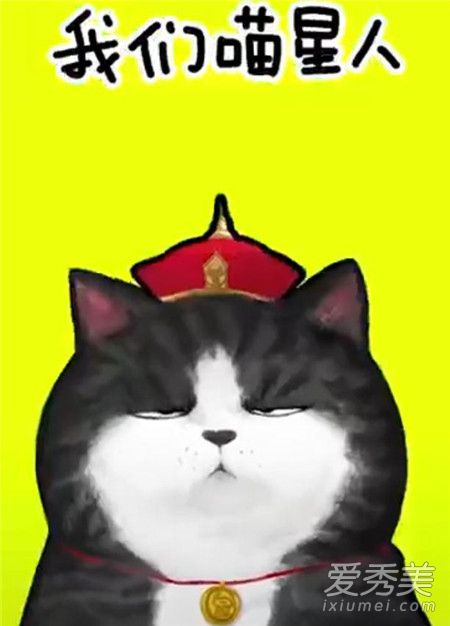 抖音我们喵星人什么歌 我们喵星人就是辣么拽歌词完整版