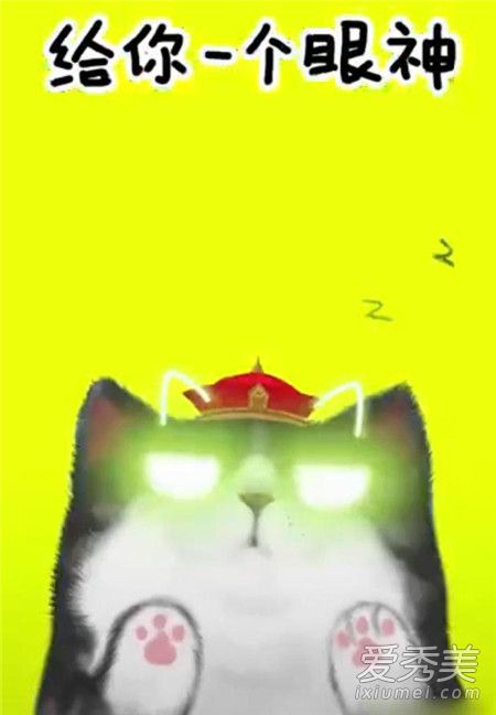 抖音我们喵星人什么歌 我们喵星人就是辣么拽歌词完整版