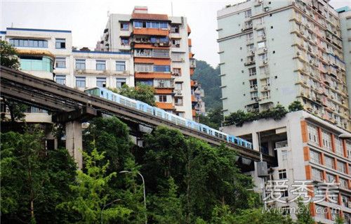 �������촩¥��������� ���촩¥����Ǽ�����