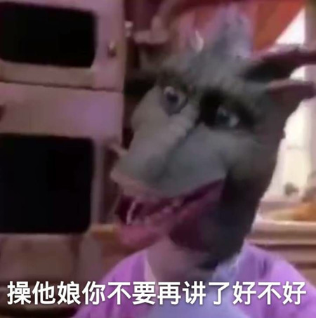 ������ʲô��˼�����˵��� ��������ʲô��