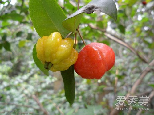 ��������ܳ��� �����������Ǯһ��2018