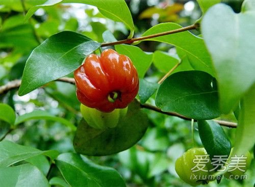 ��������ܳ��� �����������Ǯһ��2018