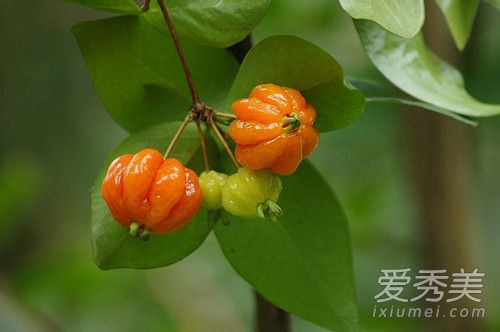 ��������ܳ��� �����������Ǯһ��2018