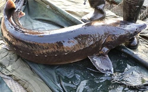 68����600����ʲô�� 68����600��Ϊʲô��ô��