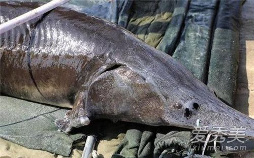 68����600����ʲô�� 68����600��Ϊʲô��ô��