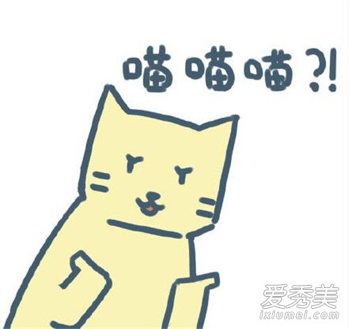 ��������ʲô�� ��������ʲô��˼