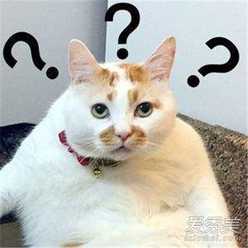 ��������ʲô�� ��������ʲô��˼