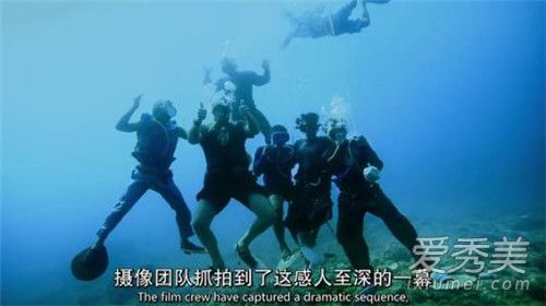 BBC���������¼�����ô���� BBC��������Ϊʲô�¼�