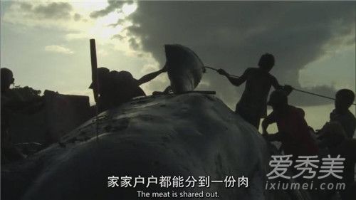 BBC���������¼�����ô���� BBC��������Ϊʲô�¼�