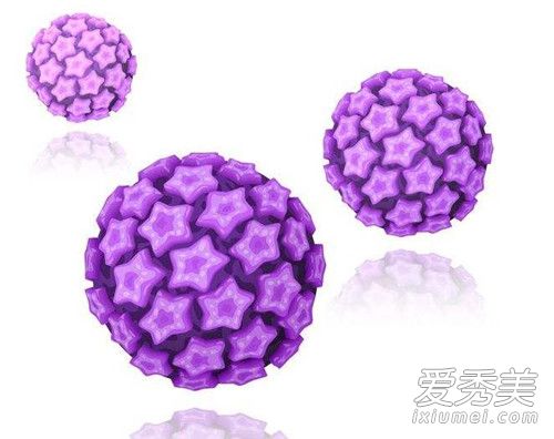 �ż�HPV��׼��������ô���� �ż�HPV����Ǯ