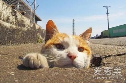 ˵Խʲô˼ ˵Խʲô