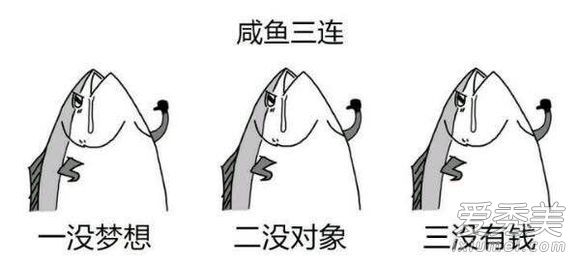 ˲˵ʲô˼ ˲˵ʲô
