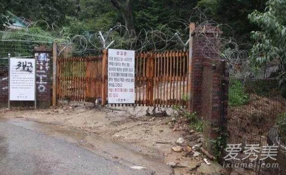 ��Ӱ�����ҽ�����ʲô ������Ӱ�����Ҿ���ͼ��