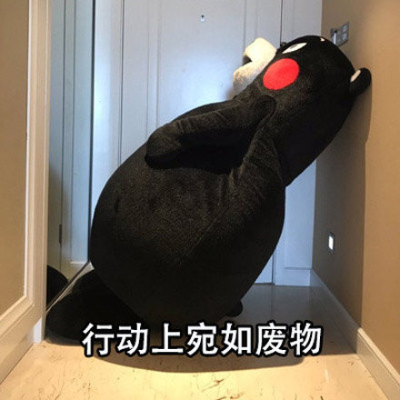 ����������ʲô��˼ ����������ʲô����������