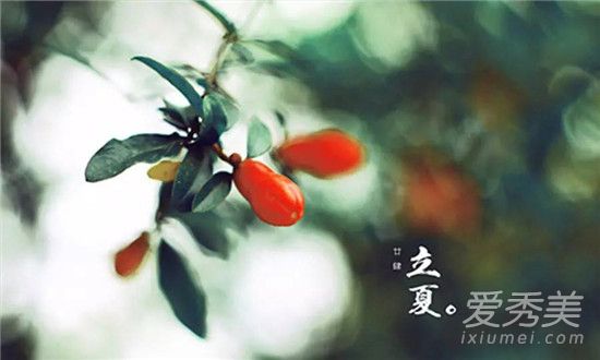 立夏是几月几日2018 立夏和夏至区别