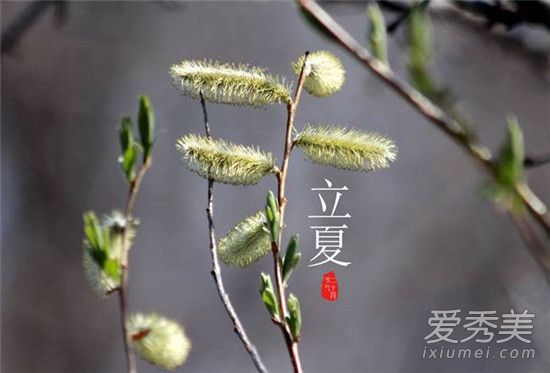 立夏是几月几日2018 立夏和夏至区别