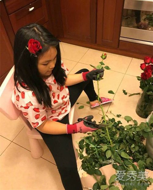 ����ɹŮ���廨������ô���� ����ΪʲôɹŮ���廨��